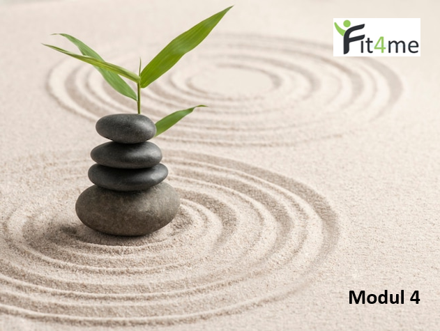 Online Kurs Modul 4