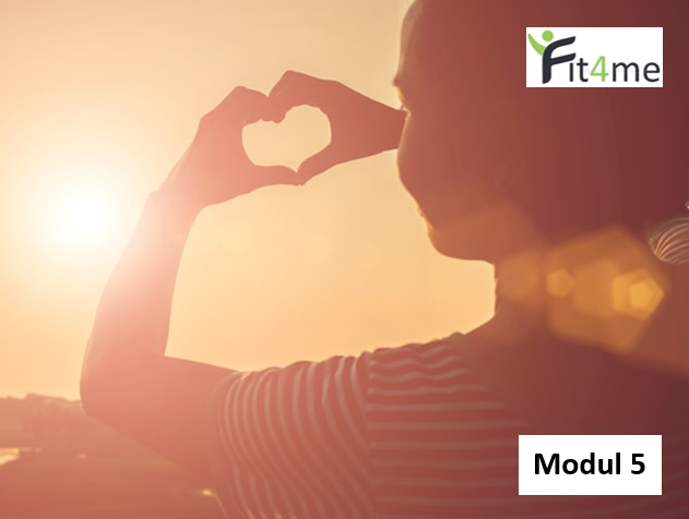 Online Kurs Modul 5